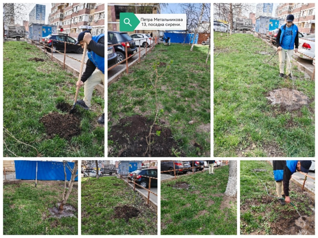 310325_ПМ13_сирень.jpg 310325_ПМ13_сирень.jpg