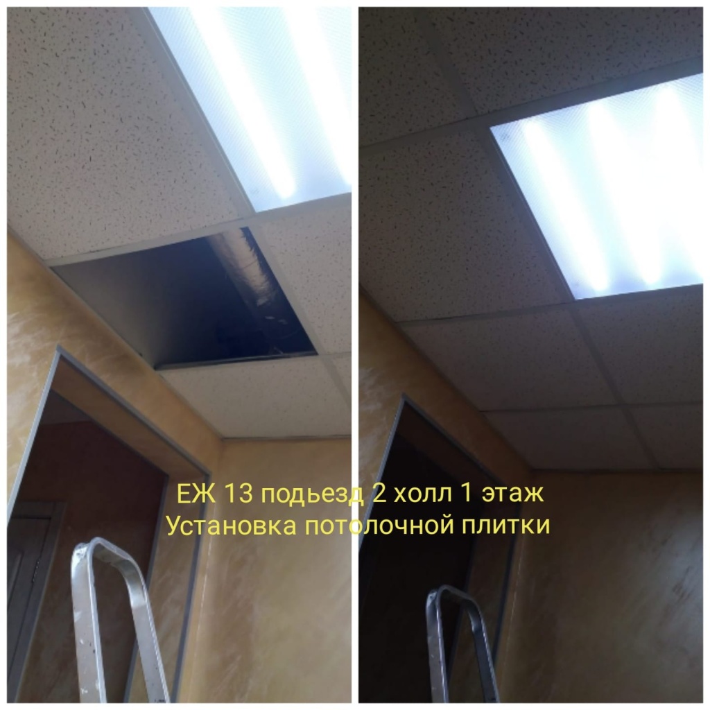 161023_ЕЖ13_2п_1эт_замена потол плитки2.jpg 161023_ЕЖ13_2п_1эт_замена потол плитки2.jpg