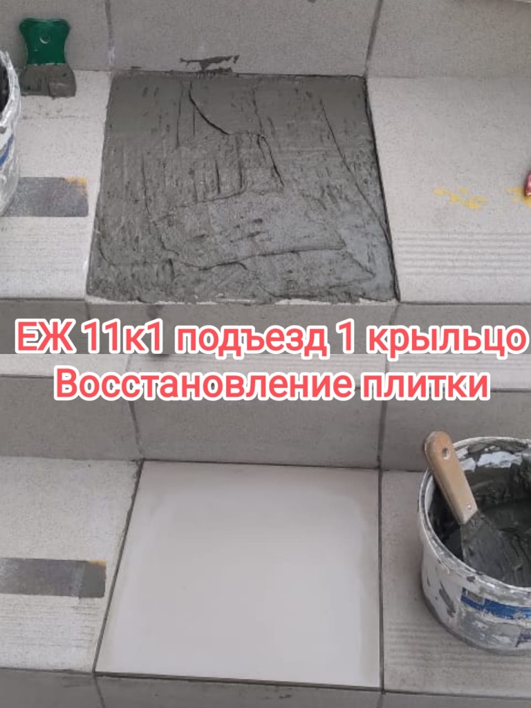 140224_еж11-1_1п_крыльцо_восст плитки.jpg 140224_еж11-1_1п_крыльцо_восст плитки.jpg