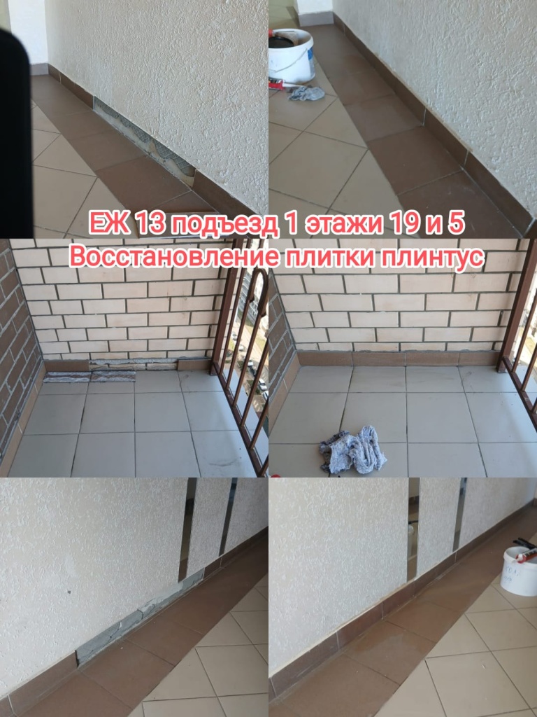 110325_ЕЖ13_1п_19_5эт_восст плитки.jpg 110325_ЕЖ13_1п_19_5эт_восст плитки.jpg