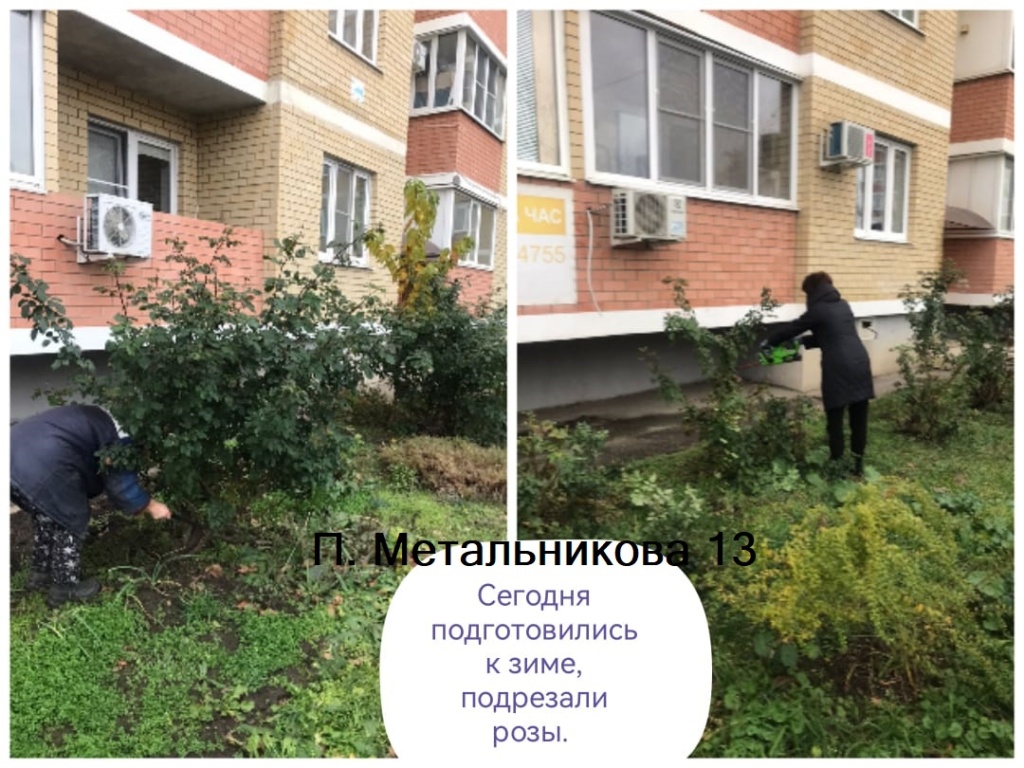 211223_пм13_подрезка роз.jpg 211223_пм13_подрезка роз.jpg