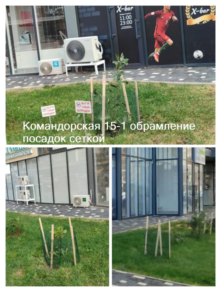 181023_Ком15-1_обрамление посадок сеткой.jpg 181023_Ком15-1_обрамление посадок сеткой.jpg
