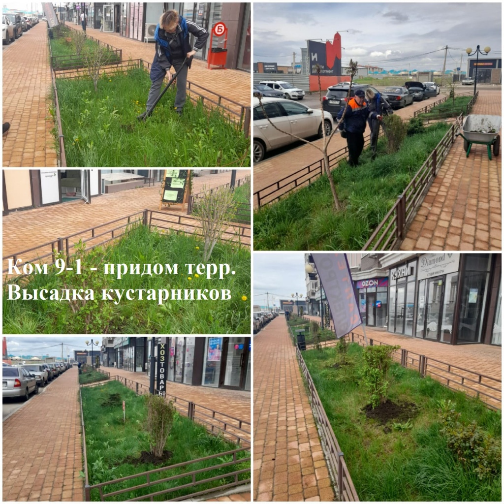 2025.04.03 - 9-1 - придом. высадка кустарников.jpeg 2025.04.03 - 9-1 - придом. высадка кустарников.jpeg