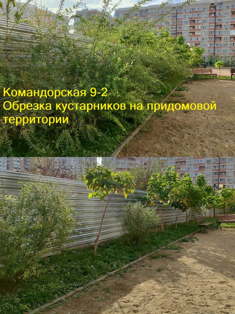 251023_Ком9-2_обрезка кустарников.jpg 251023_Ком9-2_обрезка кустарников.jpg