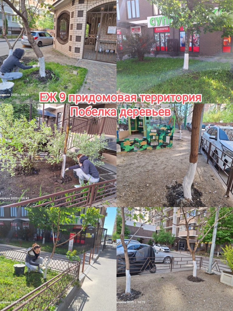 290425_ЕЖ9_побелка.jpg 290425_ЕЖ9_побелка.jpg